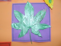 /album/feuilles-et-papillons/picture-235-jpg/